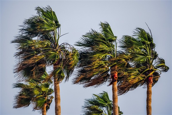 Meteoroloji Uyardı: Mersin ve Hatay’da Kuvvetli Rüzgar ve Fırtına Bekleniyor