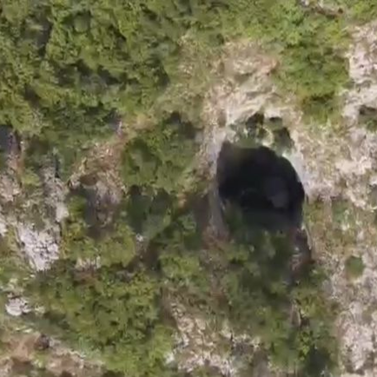 Bartın Ulus’ta 147 Metre Derinliğindeki Kadı Harmanı Kokurdanı Keşiflere Kapı Aralıyor