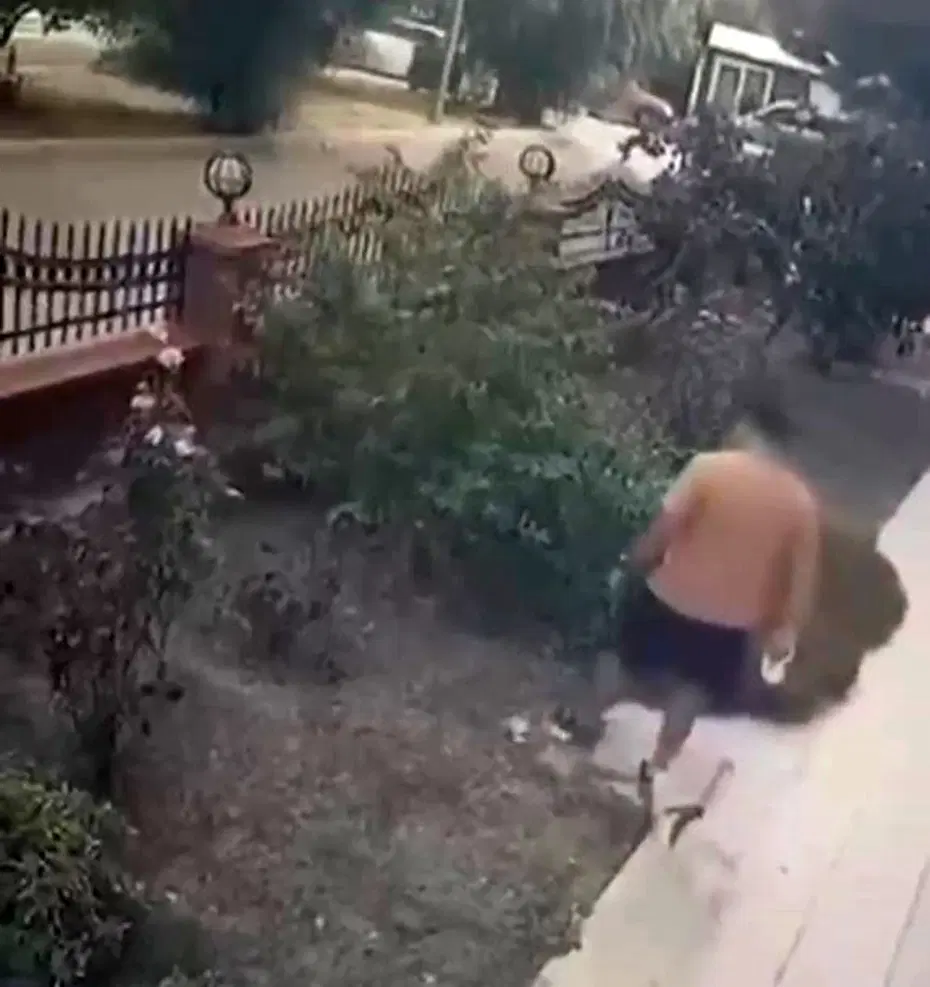 İzmir’de yavru kedilere tekme atan kişi kamera görüntüleriyle yakalandı