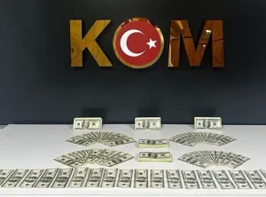Bodrum’da sahte dolar operasyonunda 46 bin 200 ABD doları ele geçirildi, bir kişi tutuklandı