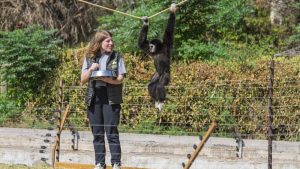 Kocaeli’deki Gibonlarının Peşinden İzmir’e Taşınan Hayvan Bakıcısı Yeni Bir Hayat Kurdu