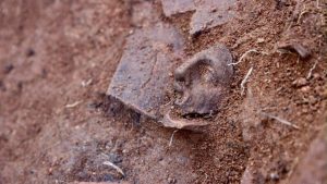 Ordu’daki Kurul Kalesi’nde Dionysos Kültüne Ait Yeni Buluntular Ortaya Çıkıyor