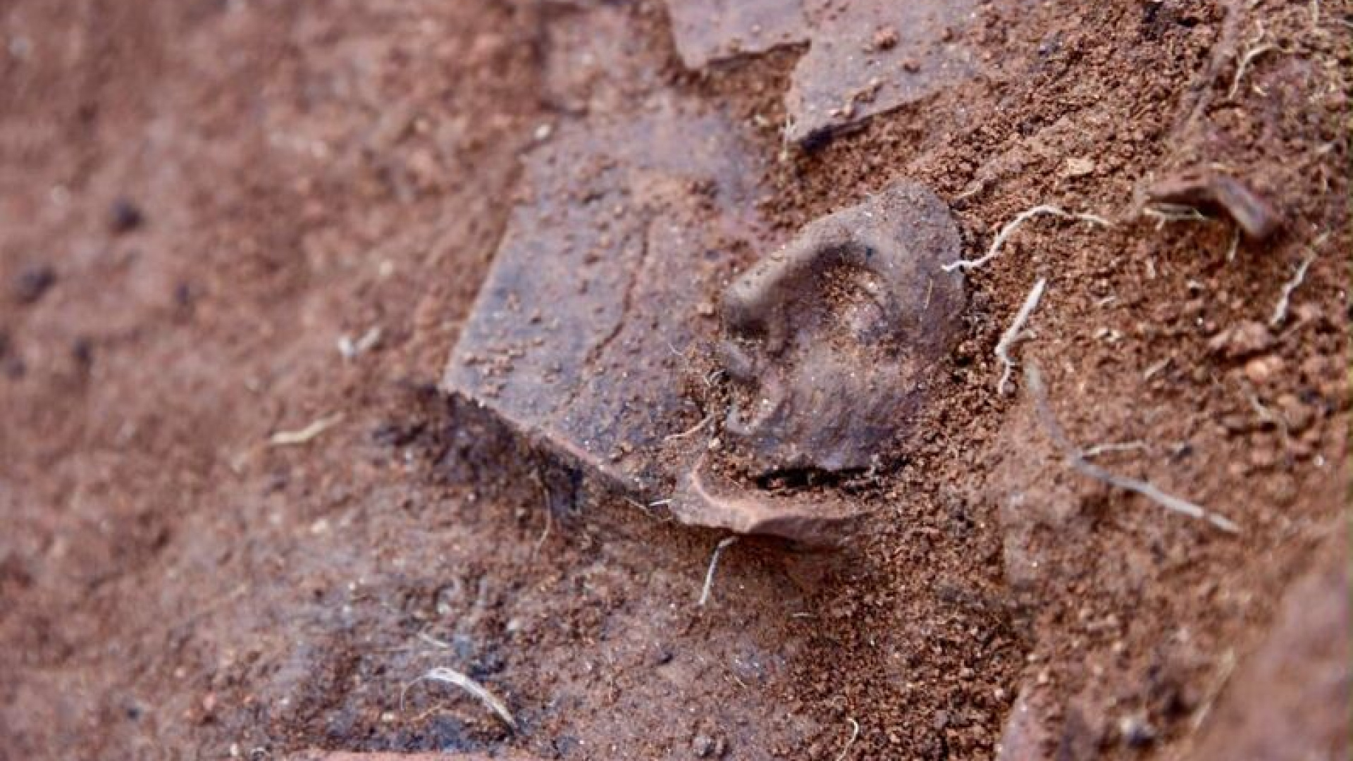Ordu’daki Kurul Kalesi’nde Dionysos Kültüne Ait Yeni Buluntular Ortaya Çıkıyor