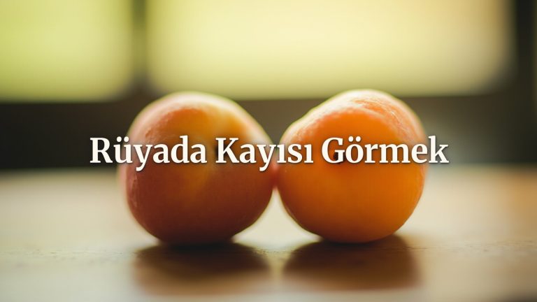 Rüyada Kayısı Görmek Hangi Anlamları Taşıyor ve Ne Mesaj Veriyor
