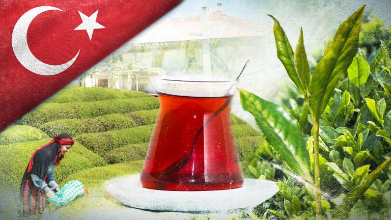 Türk çayı dünya pazarını genişleterek 9 ayda 25 milyon dolarlık ihracat başarısı yakaladı