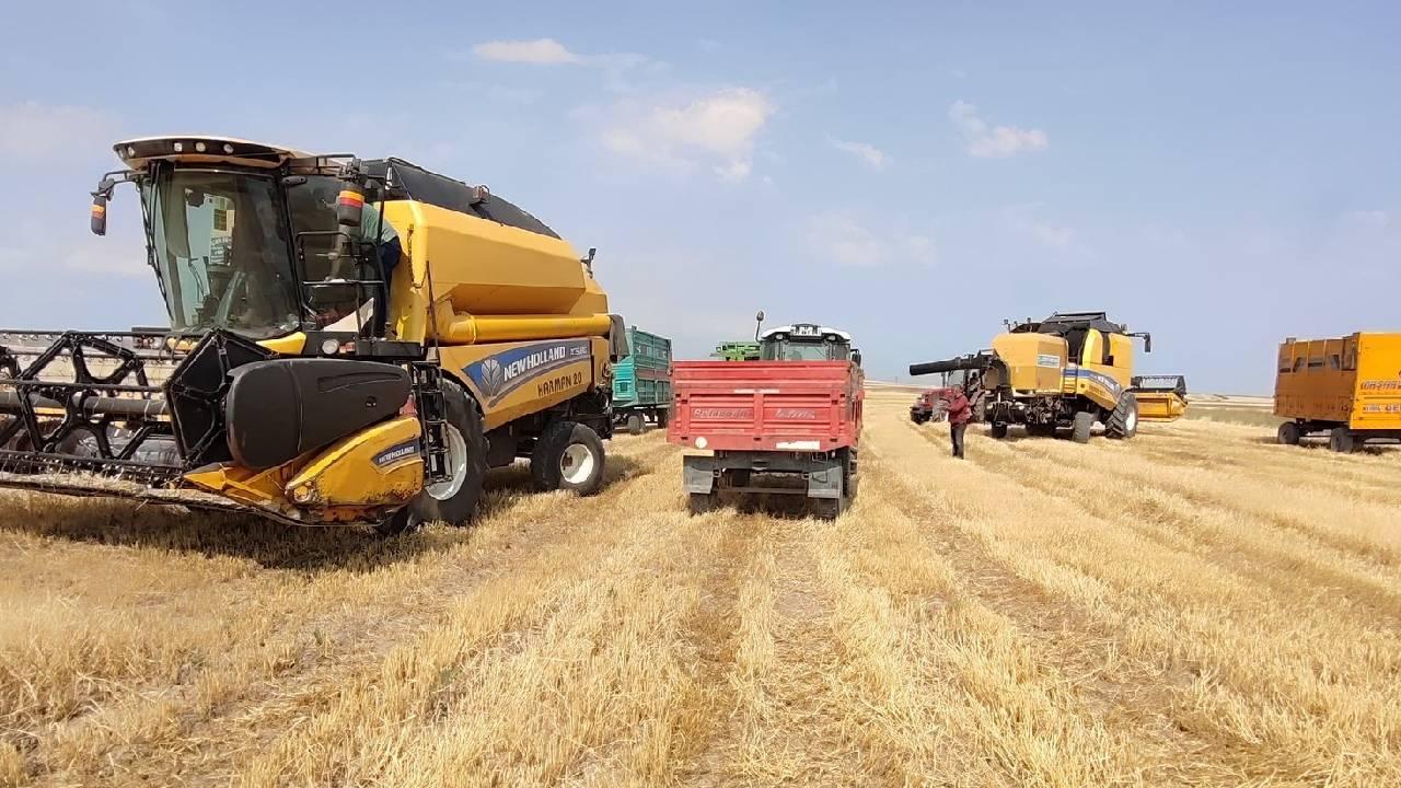 Türkiye’nin tarım ürünleri ihracatında rekor artışla 27,1 milyar dolara ulaşıldı
