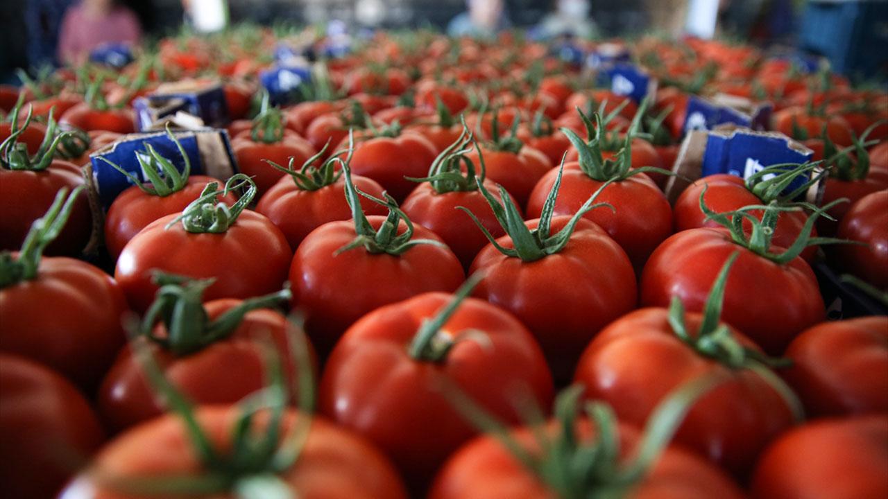 Türkiye’nin yaş sebze ihracatında Romanya zirvede yer aldı