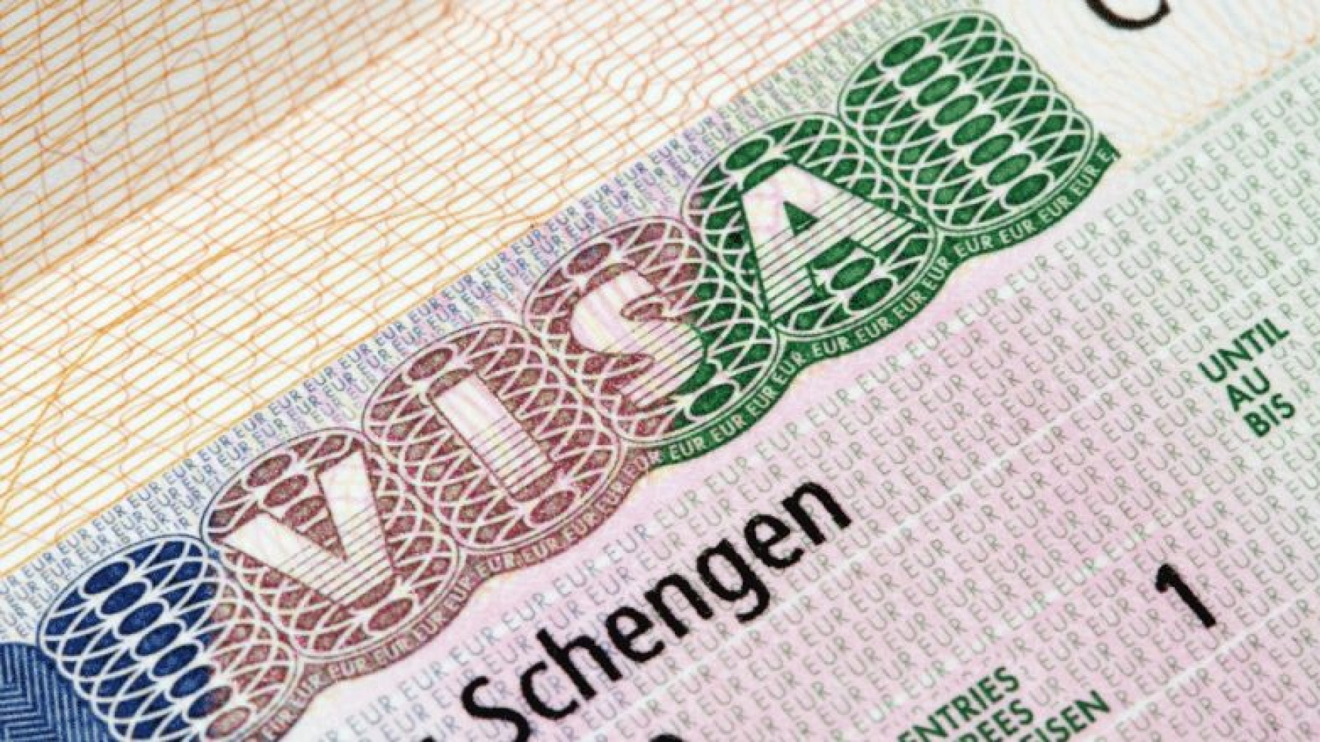 VFS Global vize başvuru sahiplerini dolandırıcılık girişimlerine karşı uyardı